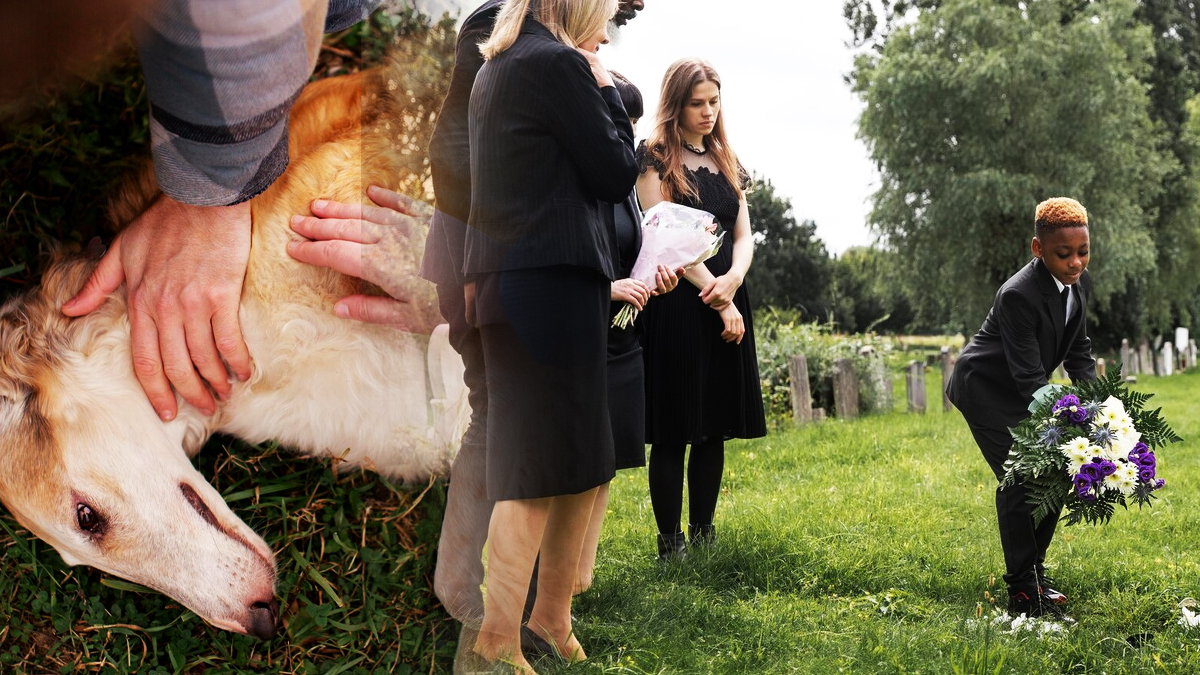 Enterrer son animal de compagnie dans son jardin en France : que dit la loi ?