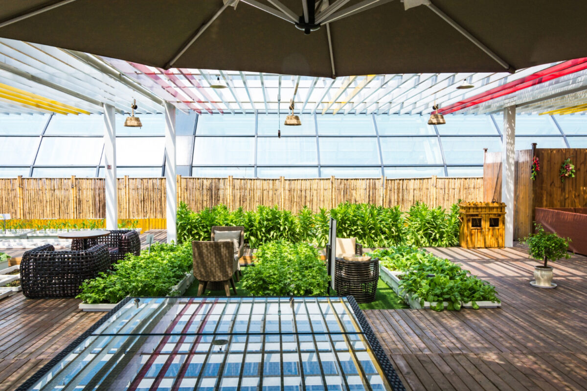 Impact des matériaux sur l'étanchéité des toits terrasses