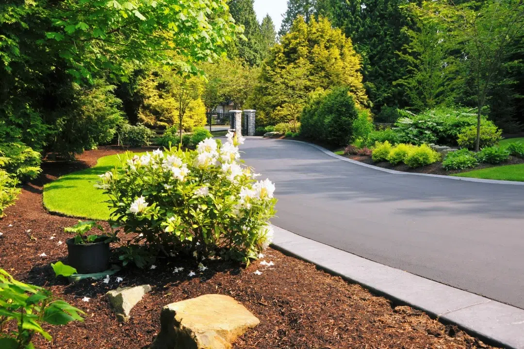 Réussir l'aménagement de votre jardin : guide pratique et idées originales