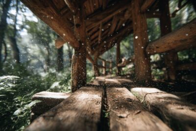 Traitement de charpente par pulvérisation : Pourquoi ce traitement est-il recommandé contre les insectes ?