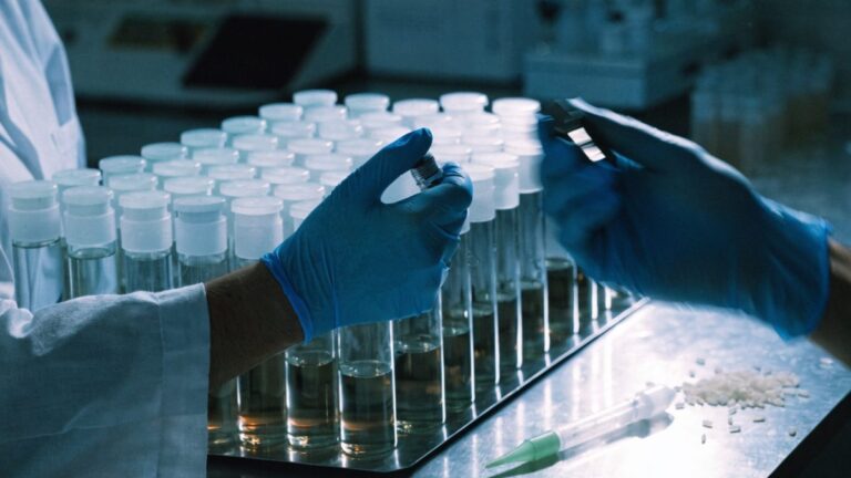 Quand le riz reprogrammait nos gènes : anatomie d'un résultat trop beau pour être vrai