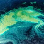 Géo-ingénierie marine : qui a le droit de modifier l'océan commun ?