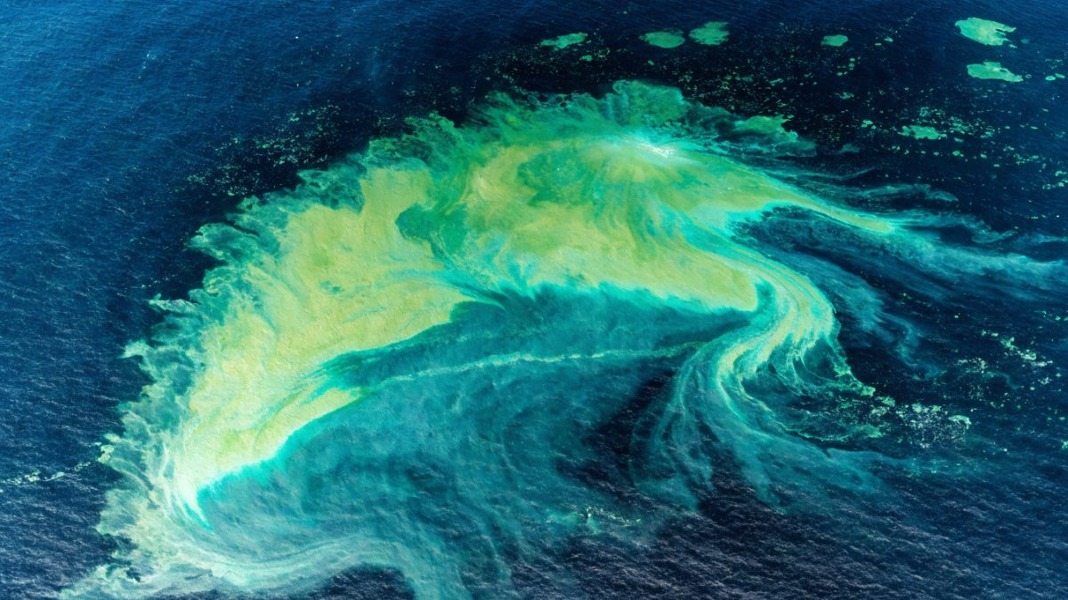 Géo-ingénierie marine : qui a le droit de modifier l'océan commun ?