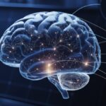 Décoder le cerveau : où en est-on vraiment, et pourquoi les « neurodroits » deviennent urgents
