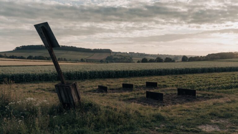 OGM en Europe : pourquoi les cultures transgéniques ont presque disparu, et reviennent par les NGT