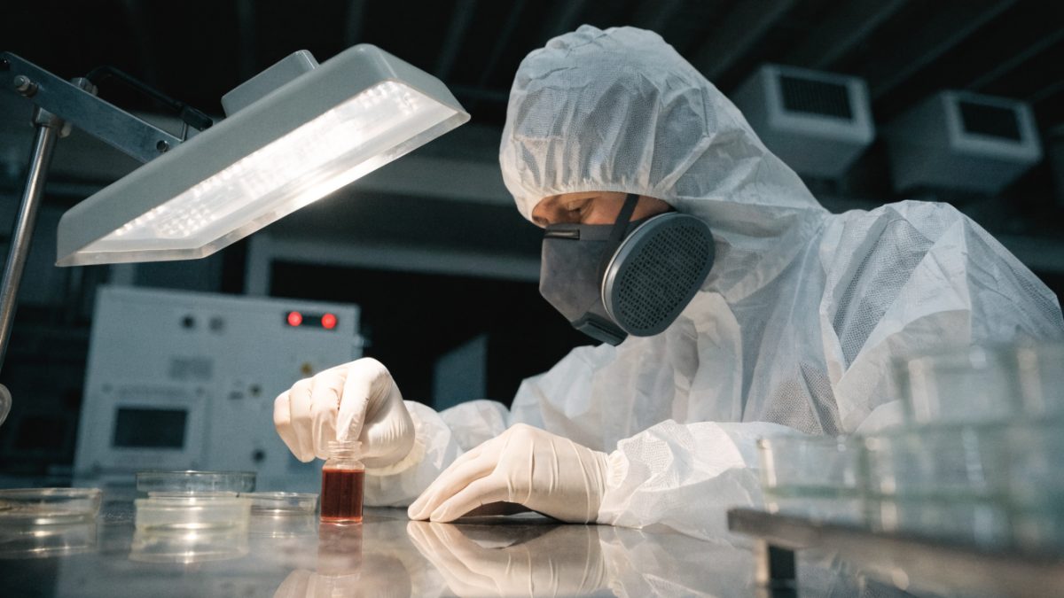 Grippe aviaire H5N1 : pourquoi l'Institut Pasteur surveille un risque « en tête des listes »